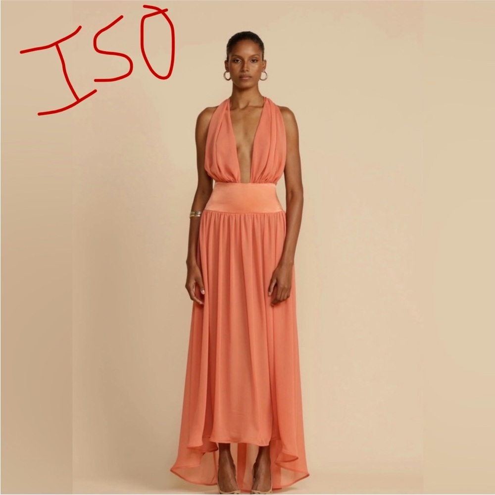 NOT FOR SALE - ISO ARCINA ORI SERENA DRESS (XS or S)
